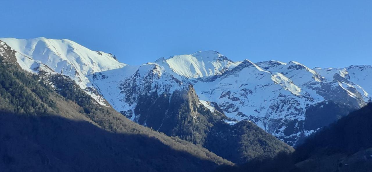 Appartement Habas Estaing Hautes Pyrenees Val D'Azun Exterior photo